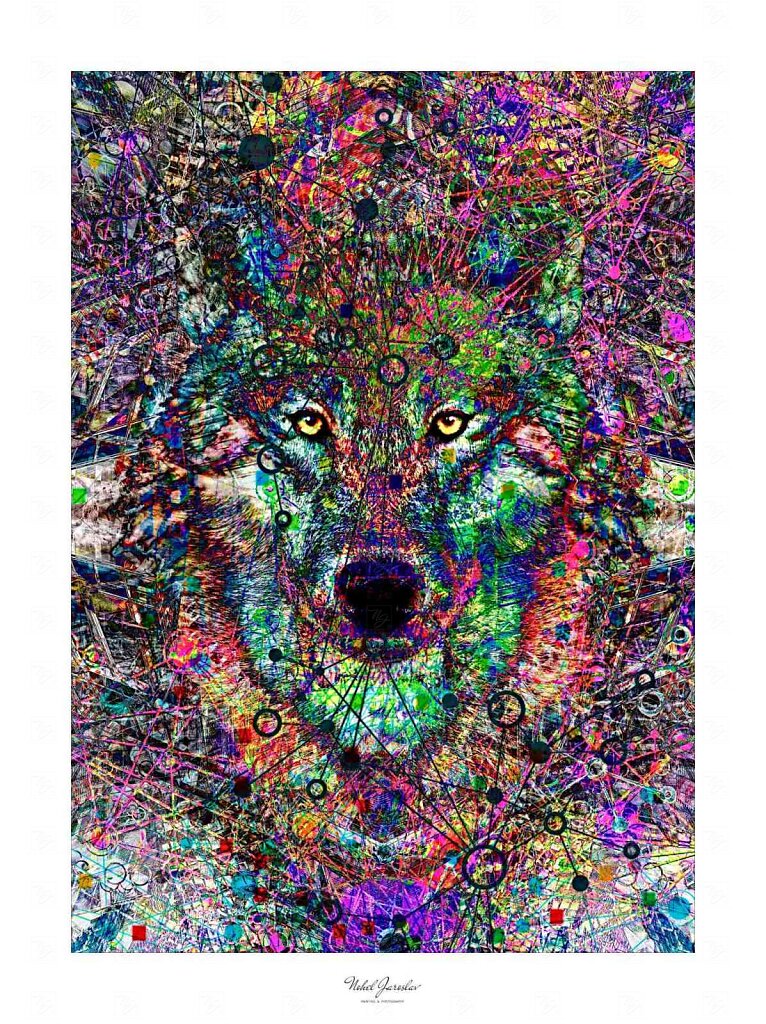 wolf-6.jpg